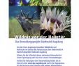 Botanischer Garten Augsburg Schmetterlinge Reizend Nanu Programm Der Natur In Der Region Augsburg Auf Der Spur