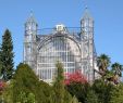 Botanischer Garten Berlin öffnungszeiten Das Beste Von Mittelmeerhaus