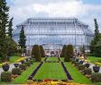 Botanischer Garten Berlin öffnungszeiten Das Beste Von Tropenhaus Im Botanischen Garten Berlin Öffnungszeiten