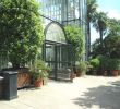 Botanischer Garten Berlin öffnungszeiten Einzigartig Mittelmeerhaus