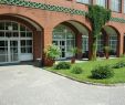 Botanischer Garten Berlin öffnungszeiten Einzigartig Rousseausaal