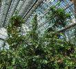 Botanischer Garten Berlin öffnungszeiten Elegant Grossestropenhaus Innen