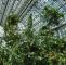 Botanischer Garten Berlin öffnungszeiten Elegant Grossestropenhaus Innen