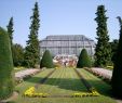 Botanischer Garten Berlin öffnungszeiten Luxus 5 orte Für Kinder In Berlin Man Gesehen Haben Muss