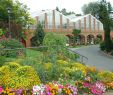 Botanischer Garten Berlin öffnungszeiten Luxus Neues Glashaus