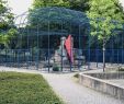 Botanischer Garten Bonn Elegant Skulptur Projekte Archiv