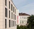 Botanischer Garten Bonn Inspirierend Die 10 Besten Hotels In Bonn 2020 Ab 40€ Günstige Preise