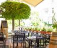 Botanischer Garten Bonn Inspirierend Die 10 Besten Restaurants Mit Gesundem Essen In Bonn