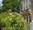 Botanischer Garten Dresden Luxus Hotel Villa Lalee Ab 55€ 7Ì¶4Ì¶€Ì¶ Bewertungen Fotos