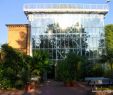 Botanischer Garten Halle öffnungszeiten Elegant Botanischer Garten In Halle Saale Entdecken