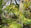 Botanischer Garten Halle öffnungszeiten Inspirierend Botanischer Garten Kultur Und Freizeit