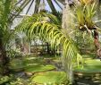 Botanischer Garten Halle öffnungszeiten Inspirierend Botanischer Garten Kultur Und Freizeit