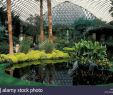 Botanischer Garten Halle öffnungszeiten Luxus Botanischer Garten Halle Halle Im Inneren Teich Pflanzen