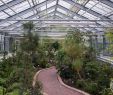Botanischer Garten Halle öffnungszeiten Neu Botanischer Garten