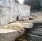 Botanischer Garten Karlsruhe Luxus Datei Polar Bear at Karlsruhe Zoo –