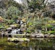 Botanischer Garten London Frisch Insider Tipps London Reise Badische Zeitung