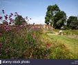 Botanischer Garten London Genial William Morris Garden Stockfotos & William Morris Garden