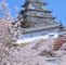 Botanischer Garten London Inspirierend Himeji Castle Hyogo Japan