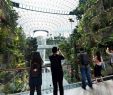 Botanischer Garten London Luxus Reise Tvoi Spravochnik