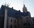 Botanischer Garten Münster Luxus Bin Mal In Der Spur Das Buchkaleidoskop Meine