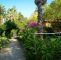 Botanischer Garten Palermo Inspirierend Le Palme Garden Tauchresort