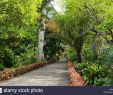 Botanischer Garten Puerto De La Cruz Frisch Botanico E Stockfotos & Botanico E Bilder Alamy