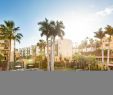 Botanischer Garten Puerto De La Cruz Reizend Hotel Be Live Adults Ly Tenerife In Puerto De La Cruz
