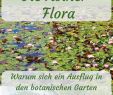 Botanischer Garten Rostock Luxus 310 Pins Zu Deutschland Städtereisen Für 2020