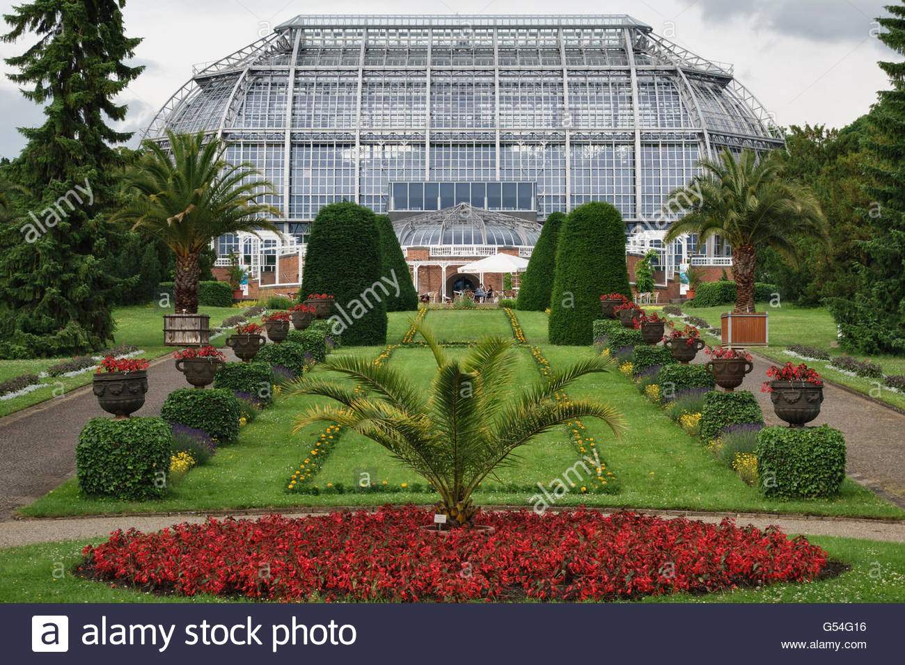 berlin deutschland der botanische garten berlin dahlem wichtigsten tropischen gewachshaus g54g16