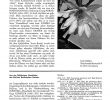 Botanischer Garten Und Botanisches Museum Berlin Dahlem Luxus Kakteen Und andere Sukkulenten Heft 4 April Jahrgang 31