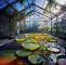 Botanischer Garten Wuppertal Luxus Let Me Introduce You Candeeland · Lomography
