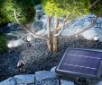 Brunnen Garten solar Inspirierend solarspot Quattro Power
