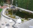 Brunnen Garten solar Reizend Bildergebnis Für Teich An Der Terrasse Garten