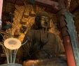 Buddha Kopf Garten Das Beste Von Kyoto Und Nara 1 Tag Bus tour