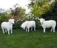 Buddha Kopf Garten Frisch Schaffamilie Weiß Strukturiert Patina 3 Schafe Kopf Gerade Kopf Unten & Kopf Zur Seite