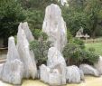 China Garten Schön Water & Stone Bonsai Landscapes On Tiger Hill In Suzhou