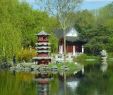 Chinesischer Garten Berlin Luxus Chinesischer Garten Marzahn See Cosirex
