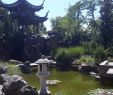 Chinesischer Garten Stuttgart Einzigartig Chinesische Garten Stuttgart Aktuelle 2020 Lohnt Es