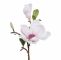Claude Monet Garten Frisch Kunstblume Künstliche Magnolie Weiß Rosa Mit 1 Blüte Und 1 Knospe H 37cm Gasper