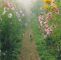 Claude Monet Garten Inspirierend Quero Lhe Acordar Um Bom Dia Raiado De sol Para Aquecer