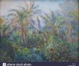 Claude Monet Garten Luxus Claude Monet Garden Elegant Kunstdrucke Werke Bekannter