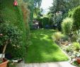 Cottage Garten Anlegen Reizend Gartengestaltung Kleine Gärten — Temobardz Home Blog