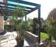 Deavita Garten Reizend sonnenschutz Balkon Ideen — Temobardz Home Blog