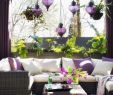 Deavita Garten Schön Balkon Gestalten Und Bepflanzen Tipps Beispiele Und Bilder