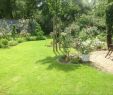 Die Gärten Der Welt Reizend Gartengestaltung Kleine Gärten — Temobardz Home Blog