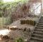 Dünengras Im Garten Luxus Grüner Sichtschutz Im Garten — Temobardz Home Blog