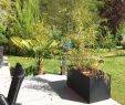 Ebay Garten Gutschein Luxus 25 Genial Vlies Garten Das Beste Von