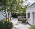 Edelstahlbecken Garten Luxus Die 52 Besten Bilder Von Modern Garden Garten Modern