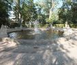Ein Birnbaum In Seinem Garten Stand Reizend Rundbrunnen Im Volkspark Friedrichshain –