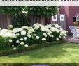 Englisch Garten Elegant 3x 41cm Wasch Schüssel Pflanzgefäß Mit Loch Emaille Garten